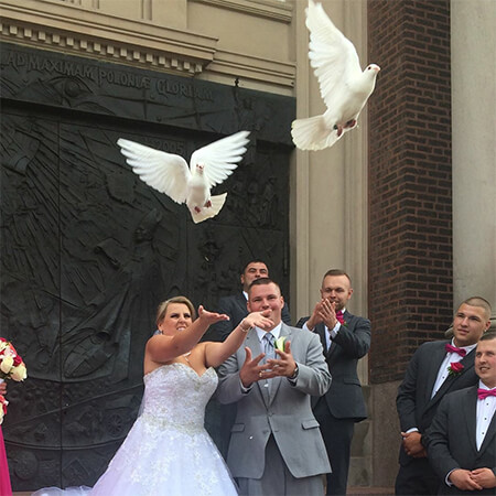 Gołębie Ślubne Chicago
